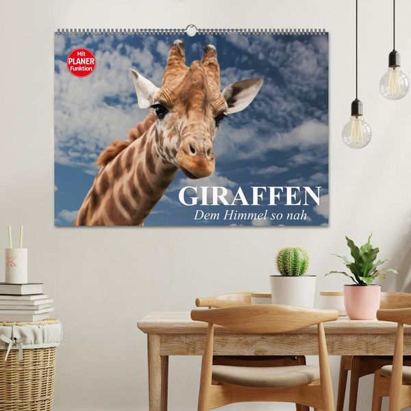 Produktbild: Giraffen. Dem Himmel so nah (Wandkalender 2026 DIN A2 quer), CALVENDO Monatskalender