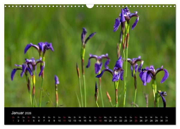 Produktbild: Sibirien- Impressionen von der Lena (Wandkalender 2026 DIN A3 quer), CALVENDO Monatskalender