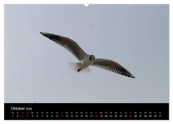 Produktbild: Sylt 2026 (hochwertiger Premium Wandkalender 2026 DIN A2 quer), Kunstdruck in Hochglanz
