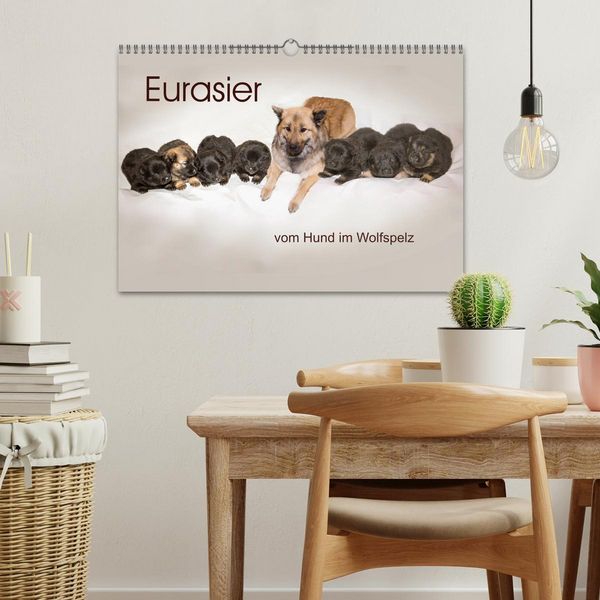 Produktbild: Eurasier, der Hund im Wolfspelz (Wandkalender 2026 DIN A3 quer), CALVENDO Monatskalender