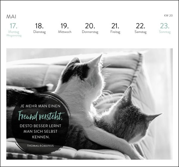 Produktbild: Postkartenkalender 2027: Inspirierende Worte f&uuml;r Katzenfreunde
