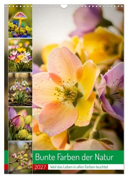 Produktbild: Bunte Farben der Natur (Wandkalender 2027 DIN A3 hoch), CALVENDO Monatskalender