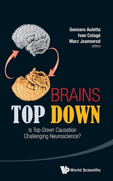Produktbild: Brains Top Down