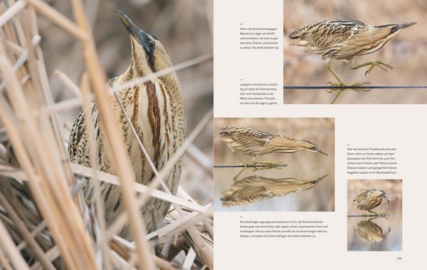 Produktbild: Die magische Welt unserer V&ouml;gel