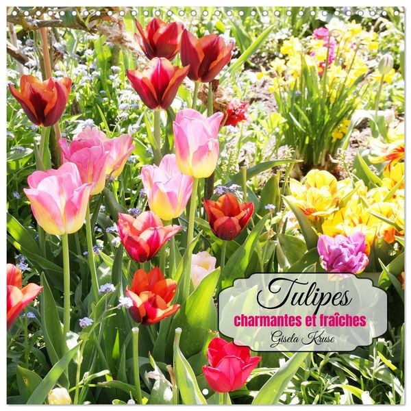 Produktbild: Tulipes charmantes et fra&icirc;ches (Calendrier mural carr&eacute; 2026 30x30 cm) Calendrier double avec une page pour vos prises de notes