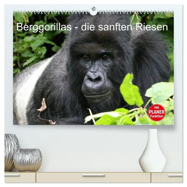 Produktbild: Berggorillas - die sanften Riesen (hochwertiger Premium Wandkalender 2027 DIN A2 quer), Kunstdruck in Hochglanz