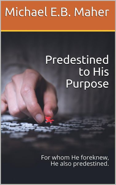 Produktbild: Predestined to His Purpose
