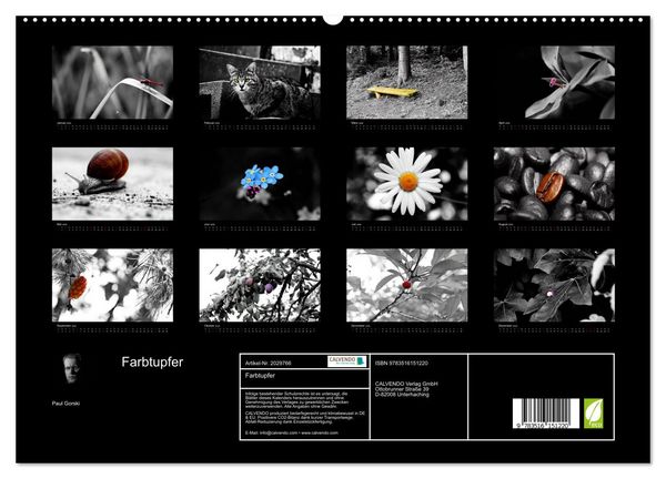 Produktbild: Farbtupfer (hochwertiger Premium Wandkalender 2026 DIN A2 quer), Kunstdruck in Hochglanz