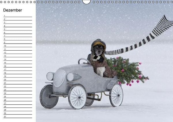 Produktbild: Jack Russell Terrier - Ein Verwandlungsk&uuml;nstler namens Jake / Geburtstagskalender (Wandkalender immerw&auml;hrend DIN A3 quer)
