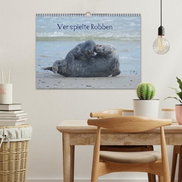 Produktbild: Verspielte Robben (Wandkalender 2026 DIN A3 quer), CALVENDO Monatskalender
