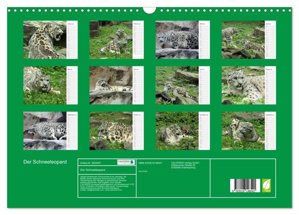 Produktbild: Der Schneeleopard (Wandkalender 2026 DIN A3 quer), CALVENDO Monatskalender