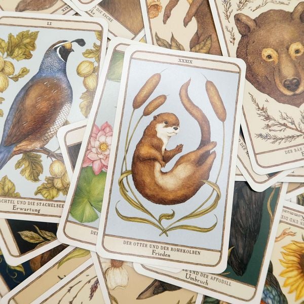 Produktbild: Woodland Wardens: 52 Orakelkarten mit Booklet