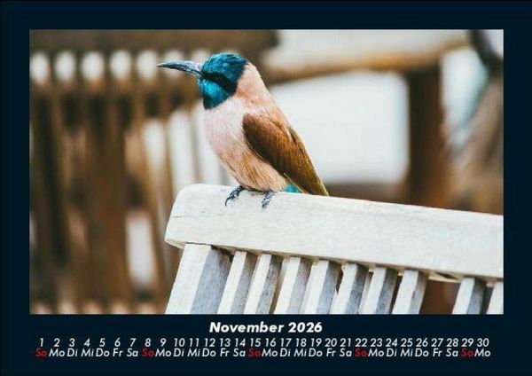 Produktbild: Vogelparadies 2026 Fotokalender DIN A5