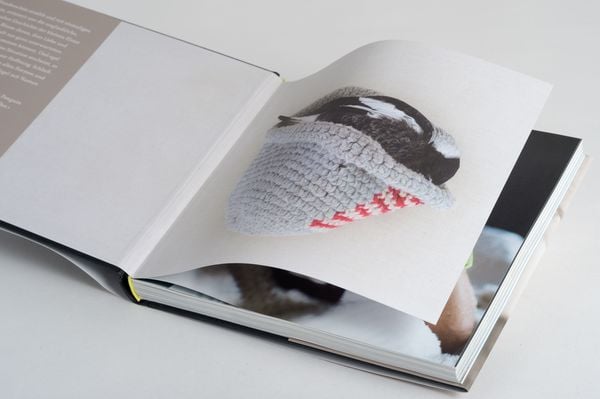 Produktbild: Penguin Bloom
