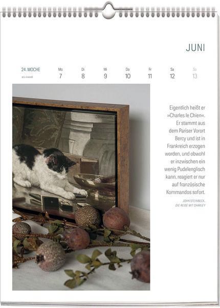 Produktbild: ars vivendi Literatur Kalender 2027