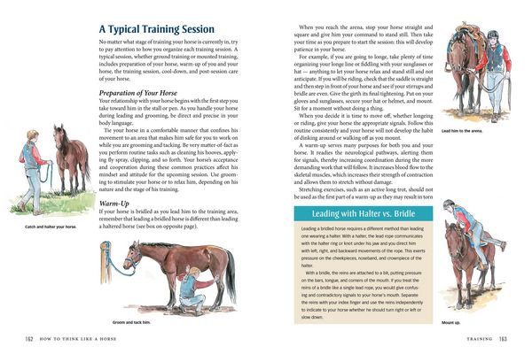 Produktbild: How to Think Like a Horse