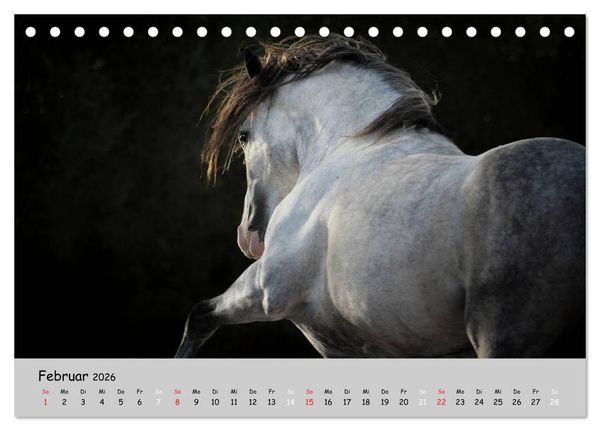 Produktbild: Pferde - Anmut und St&auml;rke gepaart mit Magie (Tischkalender 2026 DIN A5 quer), CALVENDO Monatskalender