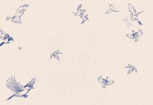 Produktbild: Ein M&auml;dchen namens Willow: Mein Willow-Freundebuch