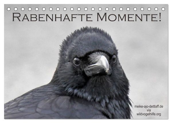 Produktbild: Rabenhafte Momente! (Tischkalender 2026 DIN A5 quer), CALVENDO Monatskalender