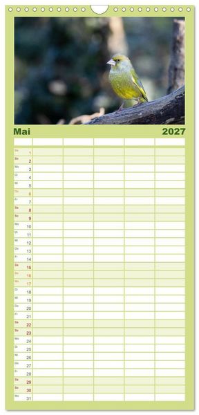 Produktbild: Familienplaner 2027 - Der Kernbei&szlig;er und seine gefiederten Gesellen mit 5 Spalten (Wandkalender, 21 x 45 cm) CALVENDO
