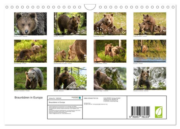 Produktbild: Braunb&auml;ren in Europa (Wandkalender 2026 DIN A4 quer), CALVENDO Monatskalender