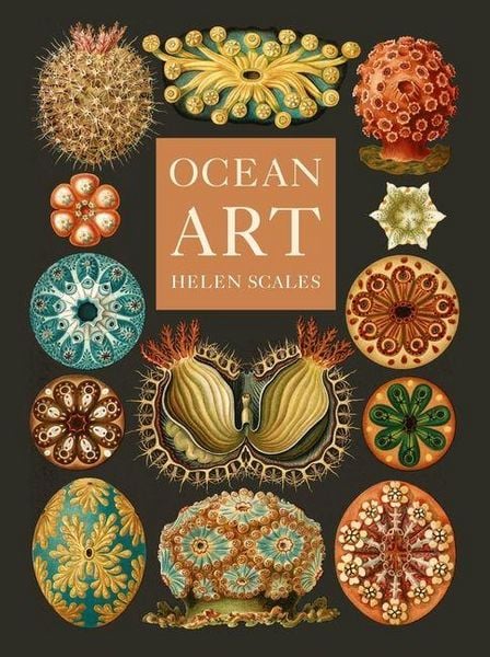 Produktbild: Ocean Art - From the Shore to the Deep