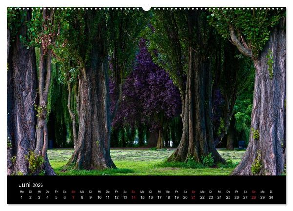 Produktbild: Charmantes Hamburg (hochwertiger Premium Wandkalender 2026 DIN A2 quer), Kunstdruck in Hochglanz