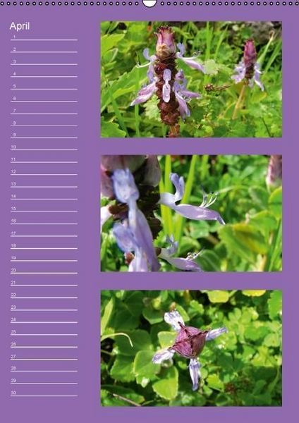 Produktbild: Zauberwelt der Blumen - Eiskristalle & Wasserperlen / Geburtstagskalender (Wandkalender immerw&auml;hrend DIN A2 hoch)