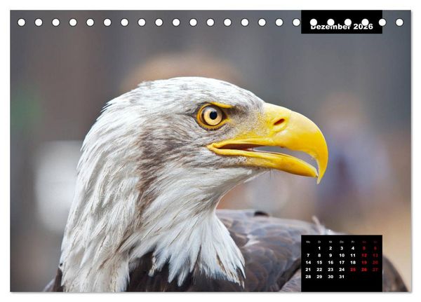 Produktbild: Greifv&ouml;gel - Herrscher der L&uuml;fte (Tischkalender 2026 DIN A5 quer), CALVENDO Monatskalender