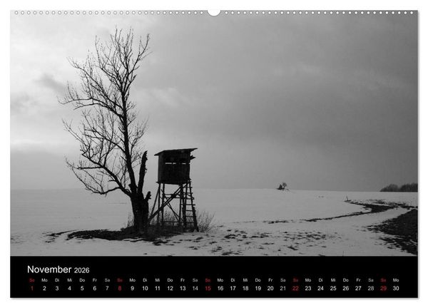 Produktbild: B&auml;ume trees 2026 (Wandkalender 2026 DIN A2 quer), CALVENDO Monatskalender