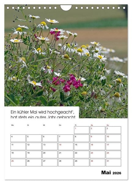 Produktbild: Wetter-Regeln der Bauern (Wandkalender 2026 DIN A4 hoch), CALVENDO Monatskalender