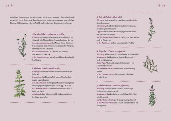 Produktbild: Herbal Healing &ndash; Medizin aus der Natur