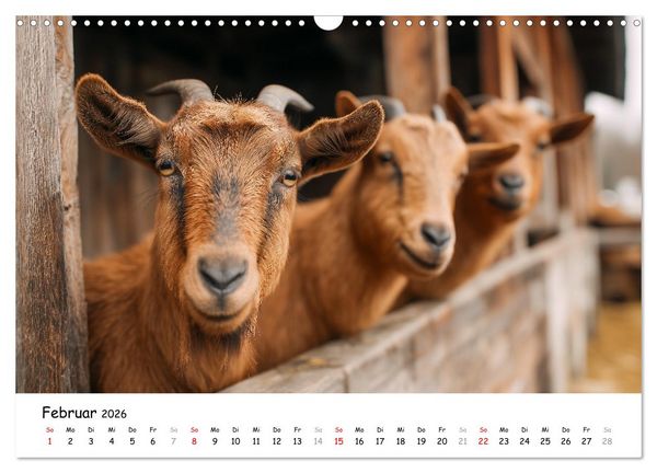Produktbild: Hans der Bauer und seine Tiere auf dem Bauernhof (Wandkalender 2026 DIN A3 quer), CALVENDO Monatskalender