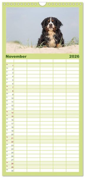 Produktbild: Familienplaner 2026 - Liebling BERNER SENNENHUND mit 5 Spalten (Wandkalender, 21 x 45 cm) CALVENDO