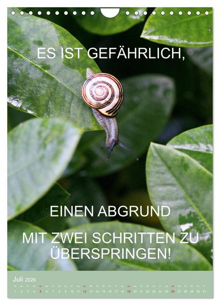 Produktbild: Nimm das Leben leicht, auch wenn's manchmal schwerf&auml;llt (Wandkalender 2026 DIN A4 hoch), CALVENDO Monatskalender