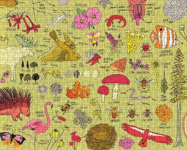 Produktbild: Nature Anatomy