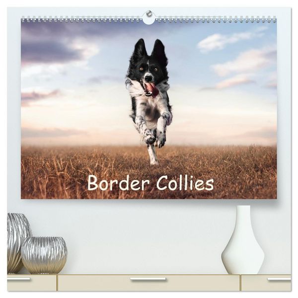 Produktbild: Border Collie Kalender &ndash; Ausdrucksstarke Close-up-Portraits durch die Jahreszeiten (hochwertiger Premium Wandkalender 2027 DIN A2 quer), Kunstdruck in Hochglanz