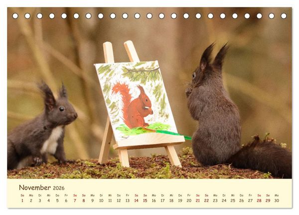 Produktbild: Eichh&ouml;rnchen - zauberhaft verspielt (Tischkalender 2026 DIN A5 quer), CALVENDO Monatskalender