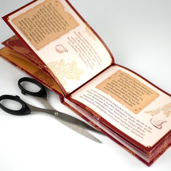 Produktbild: Alles, was ein Potter-Fan wissen muss