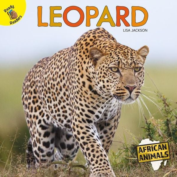 Produktbild: Leopard