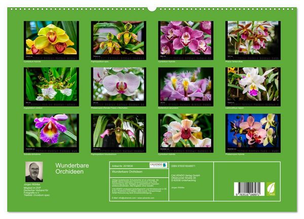 Produktbild: Wunderbare Orchideen (hochwertiger Premium Wandkalender 2026 DIN A2 quer), Kunstdruck in Hochglanz