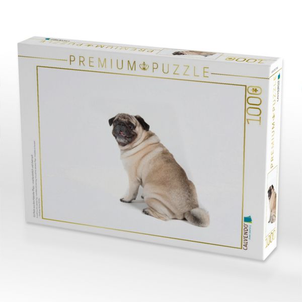 Produktbild: CALVENDO Puzzle Ein Motiv aus dem Kalender Mops - unwiderstehlich und charmant | 1000 Teile Lege-Gr&ouml;&szlig;e 64x48cm Foto-Puzzle f&uuml;r gl&uuml;ckliche Stunden
