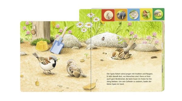 Produktbild: Wer wohnt im Garten?