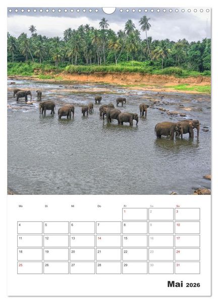 Produktbild: Sri Lanka 2026 - Exotisches Paradies - Jahresplaner (Wandkalender 2026 DIN A3 hoch), CALVENDO Monatskalender