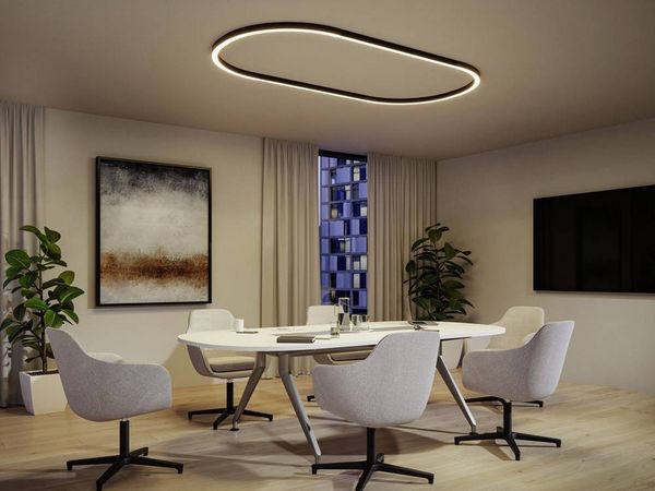Produktbild: Paulmann 98172 Linion LED-Deckenleuchte LED 6.5W Schwarz