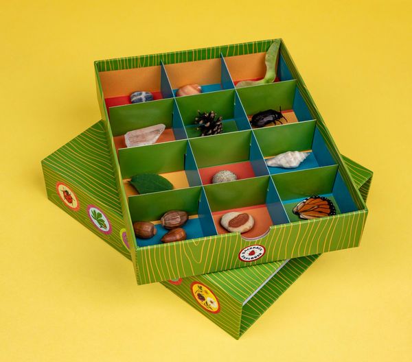 Produktbild: Backpack Explorer 5-Book Set with Nature Collection Box