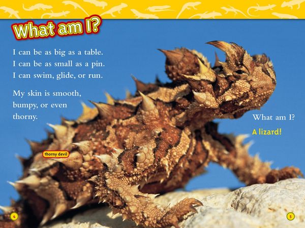 Produktbild: Lizards