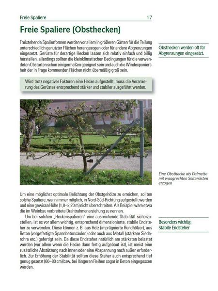 Produktbild: Spalierobst f&uuml;r Mauer, Hecke, Pergola...
