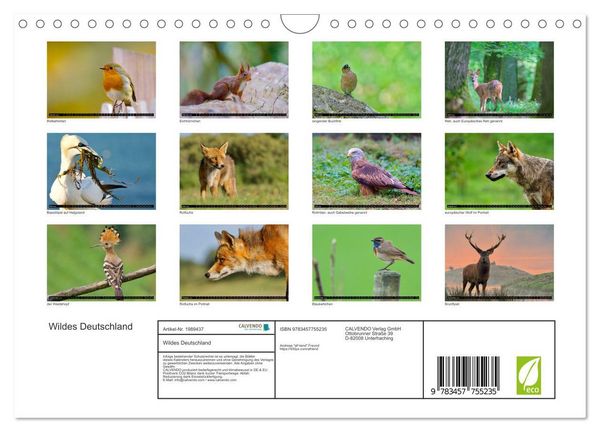 Produktbild: Wildes Deutschland (Wandkalender 2026 DIN A4 quer), CALVENDO Monatskalender