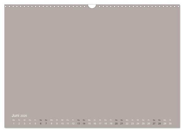Produktbild: DIY Bastel-Kalender -Erdige Pastell Farben- Zum Selbstgestalten (Wandkalender 2026 DIN A3 quer), CALVENDO Monatskalender